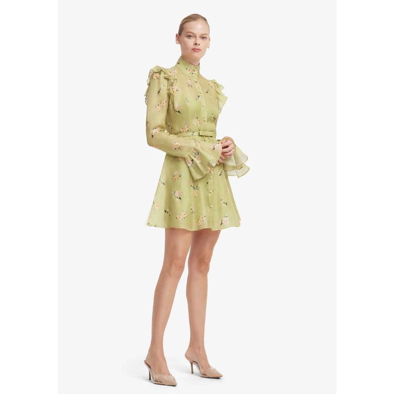 LEO LIN Kristy Butterfly Sleeve Mini Dress - Pistachio Rose Print image number 3